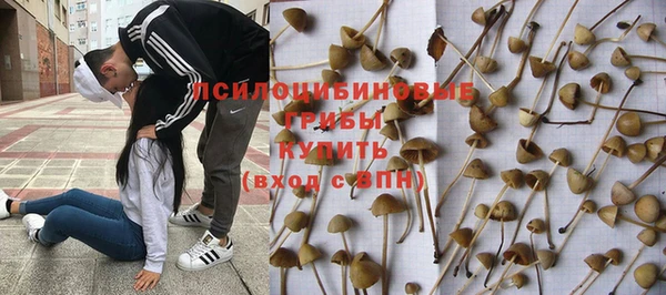 круглые Белокуриха