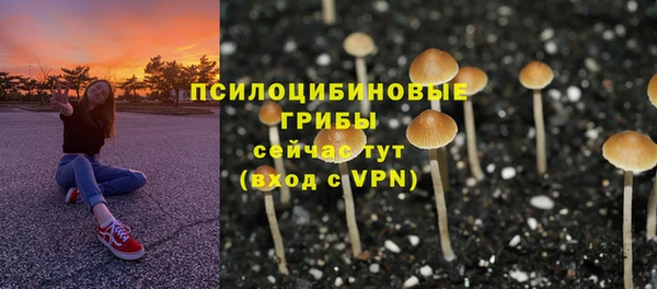 метадон Балабаново
