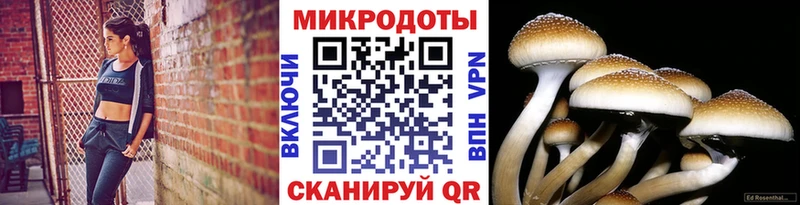 Галлюциногенные грибы прущие грибы  Черногорск 